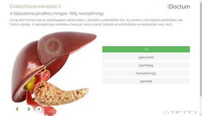 LITE Biológia - Emberi test és működése 2