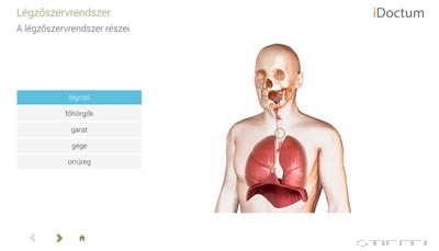 LITE Biológia - Emberi test és működése 3