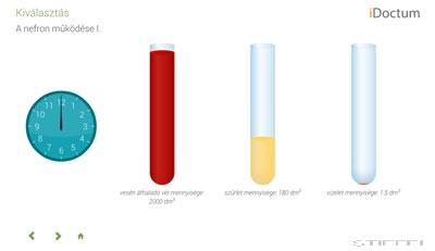 LITE Biológia - Emberi test és működése 3