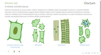 iDoctum Biológia Növények I. 