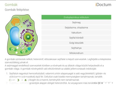 iDoctum Biológia Növények III. 