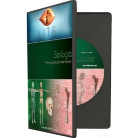 LITE A mozgásszervrendszer