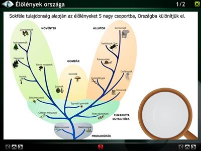 LITE Az állatok világa 