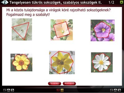 LITE A tengelyesen tükrös négyszögek és sokszög