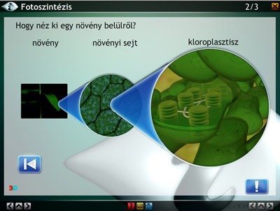 LITE A víz és a fotoszintézis