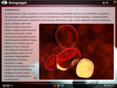 LITE Szív és keringési rendszer