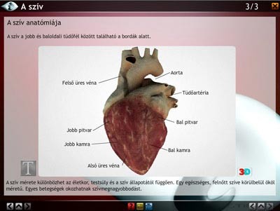 LITE Szív és keringési rendszer