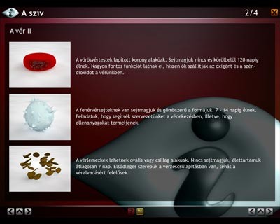 LITE Szív és keringési rendszer