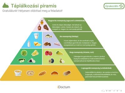 Táplálkozádi piramis