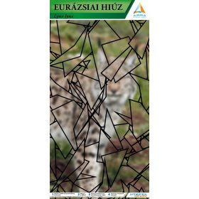 Eurázsiai hiúz AR marker - kiterjesztett valósággal