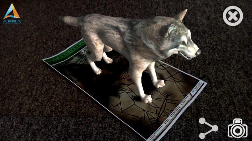 Szürke farkas AR marker - kiterjesztett valósággal