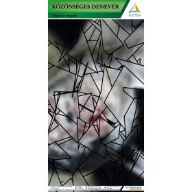   Közönséges denevér AR marker - kiterjesztett valósággal