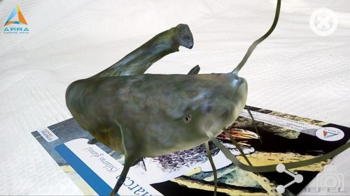 Harcsa AR marker - kiterjesztett valósággal