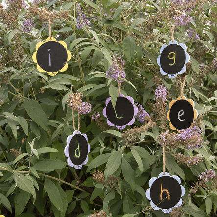 ECO virágos rajztábla, játszótér táblacsomag