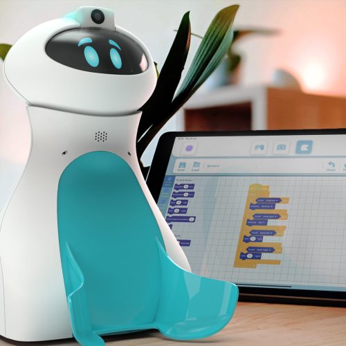 Cserélhető pocakok Oti-Bot-hoz: Kosár és tolólap