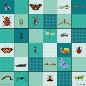 Loti gyakorlópálya - Rovarösvény