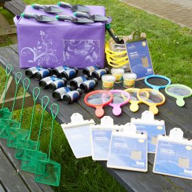 Minibeasts Grab and Go készlet