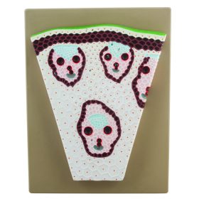 Egyszikű szár keresztmetszete modell