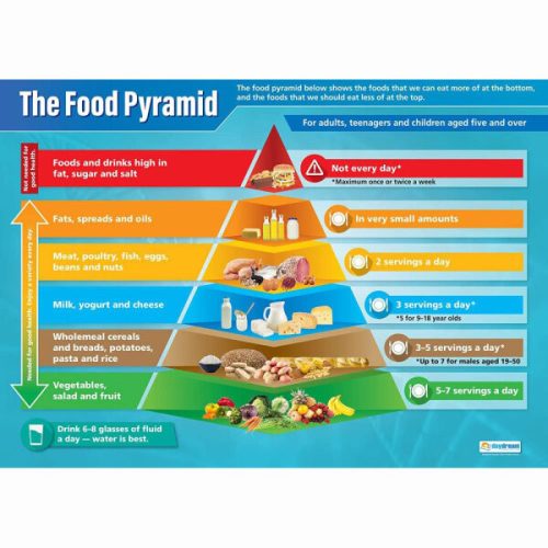 Poszter - Élelmiszer-piramis
