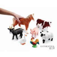 Állatok és növények megismerése