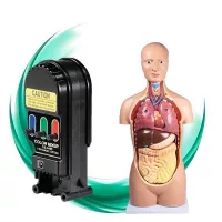 Természettudományok