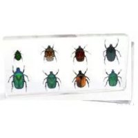 Műgyanta preparátumok