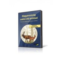 Környezeti nevelés