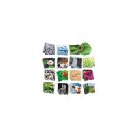 Logika, gondolkodás, memória