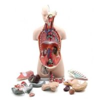 Biológiai taneszközök