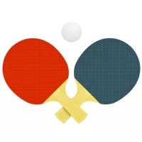 Tollaslabda, ping-pong